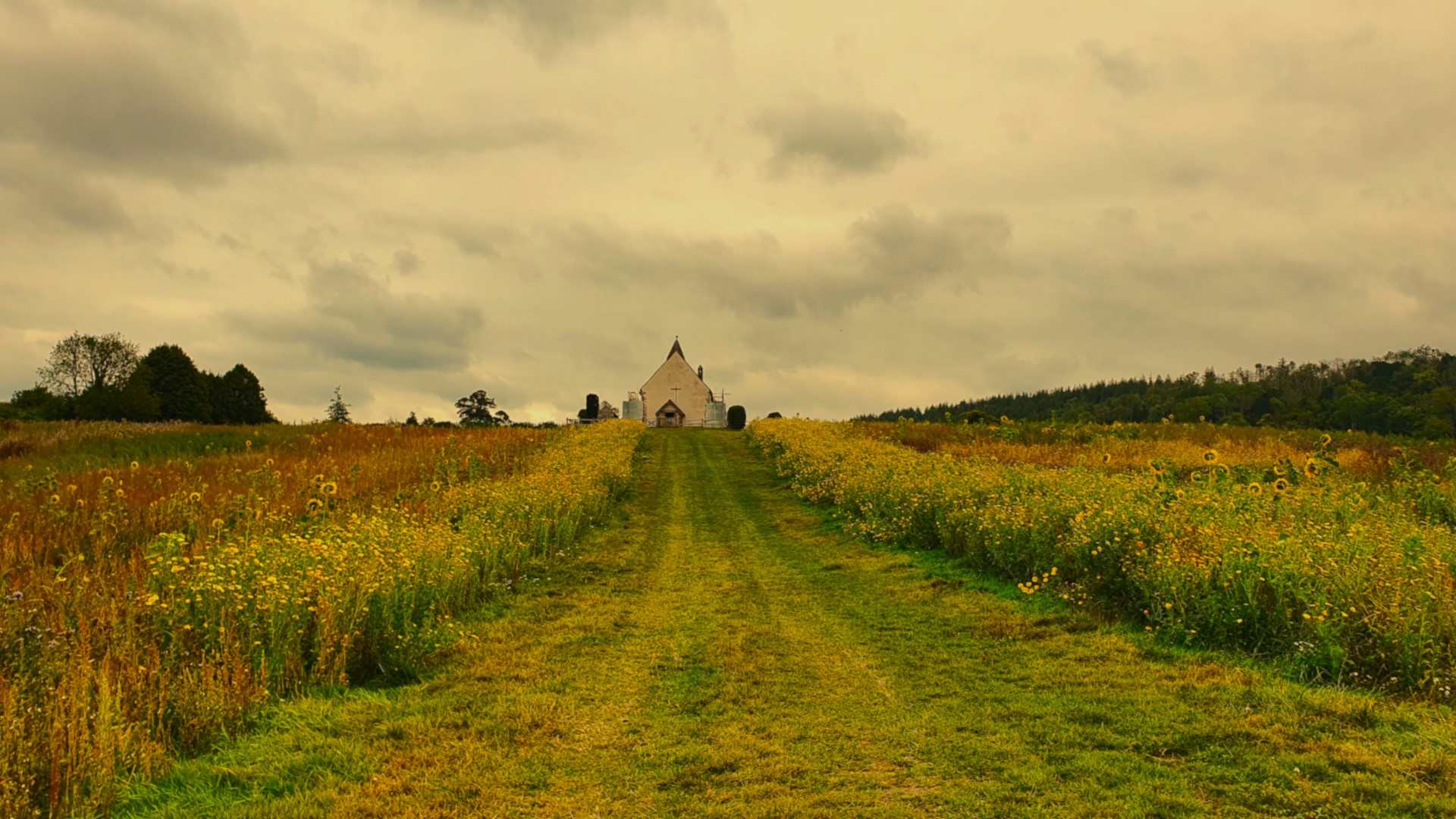 Exspiravit sancti Huberti : The ghost of St Huberts